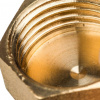 SFT-0026-000012 STOUT Заглушка ВР 1/2"  фото на сайте Велес-СПМ