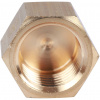 SFT-0026-000018 STOUT Заглушка ВР 1/8"  фото на сайте Велес-СПМ